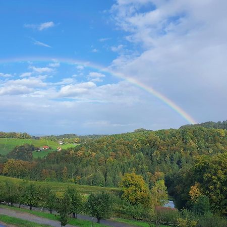 Weingut Pugl Apartment Лайбниц Екстериор снимка