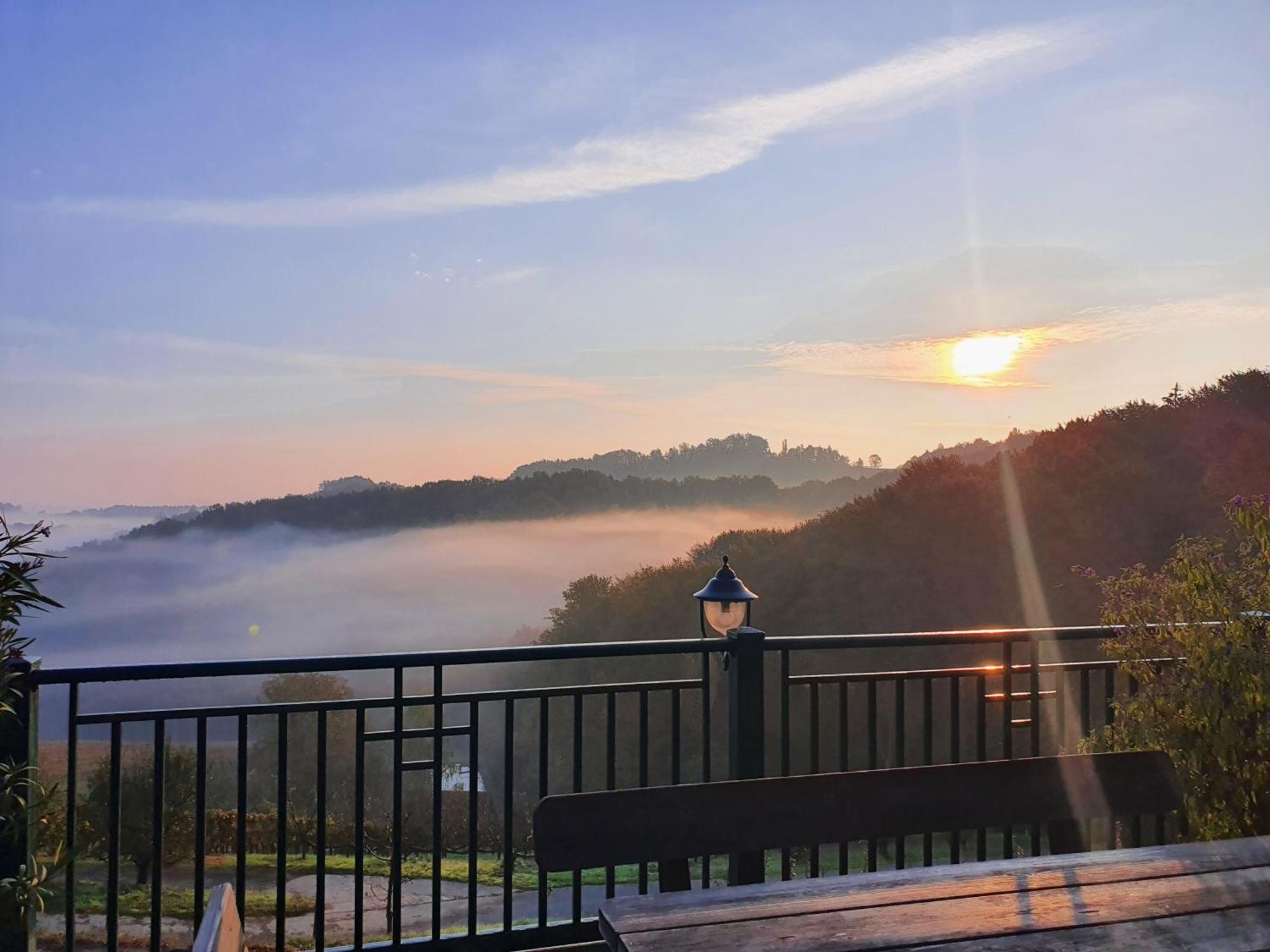 Weingut Pugl Apartment Лайбниц Екстериор снимка