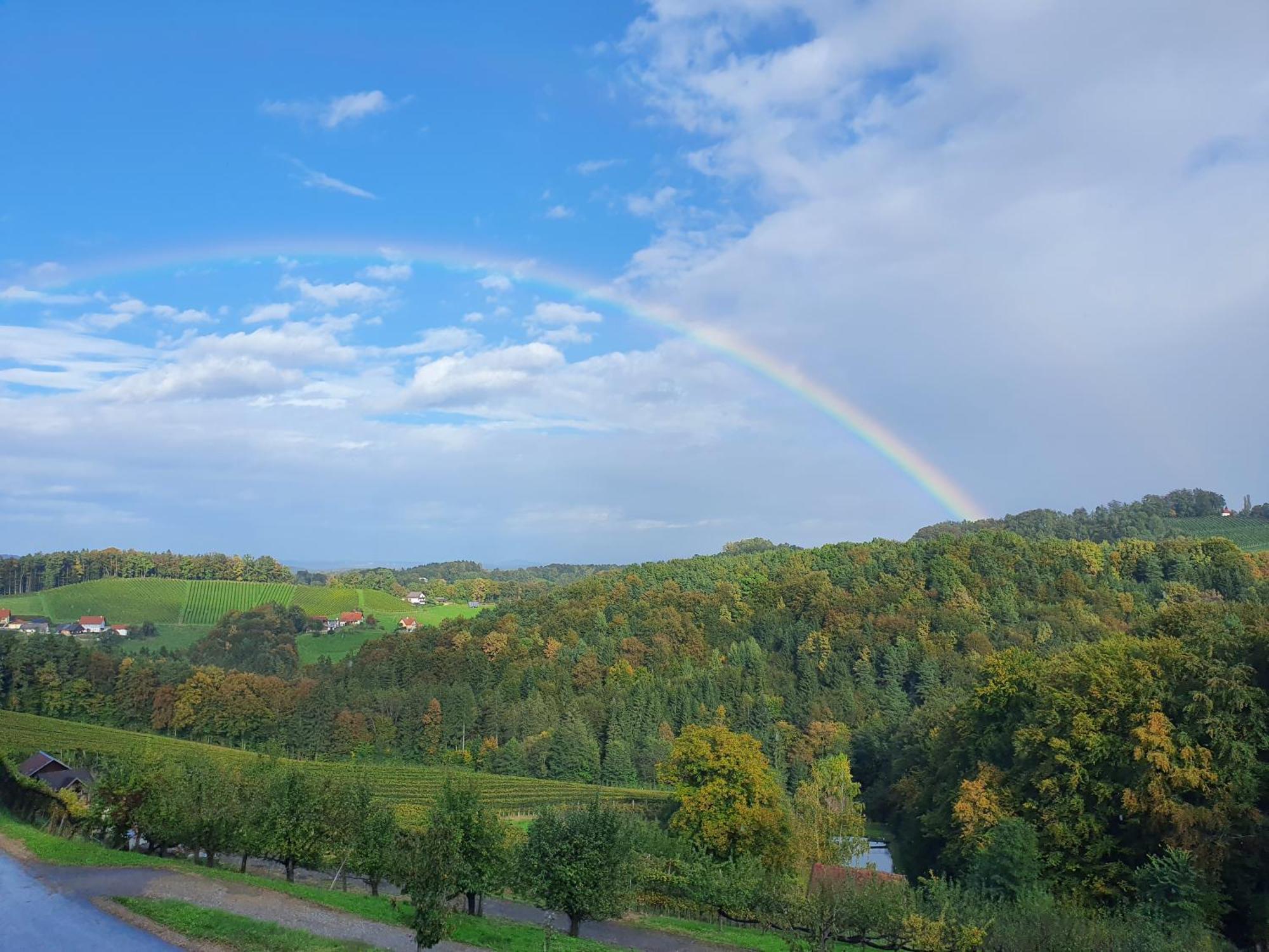 Weingut Pugl Apartment Лайбниц Екстериор снимка